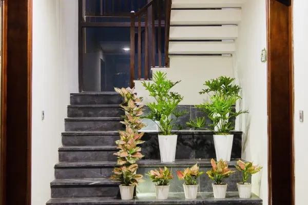 Villa 4 Bedrooms Garden #1