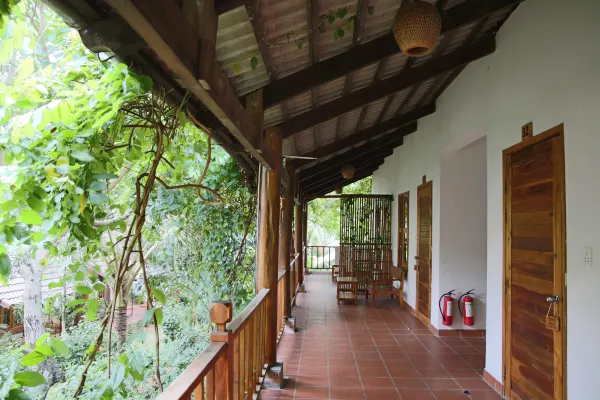 Standard with Garden View #8